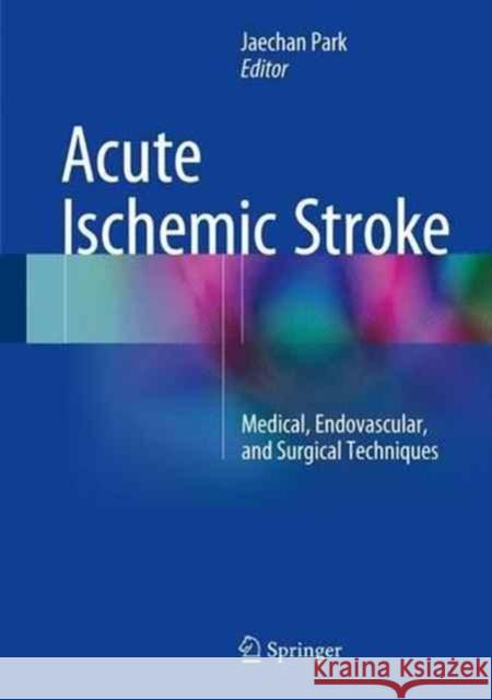 Acute Ischemic Stroke: Medical, Endovascular, and Surgical Techniques Park, Jaechan 9789811009648 Springer - książka