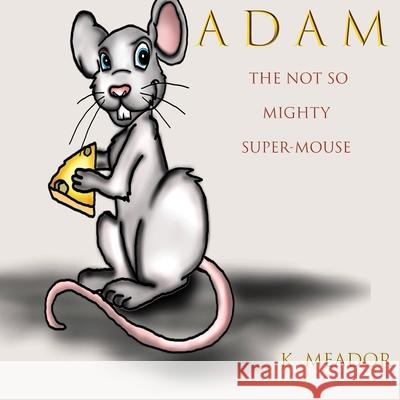 Adam K Meador 9798707102493 Independently Published - książka