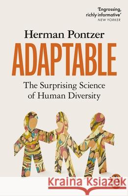 Adaptable: The Surprising Science of Human Diversity Herman Pontzer 9780141999821 Penguin Books Ltd - książka