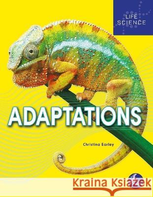 Adaptations Christina Earley 9781638976073 Stingray High/Lo - książka