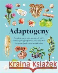 Adaptogeny Melissa Petitto, Andrzej Wojtasik 9788383191072 Buchmann - książka