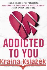 Addicted to you Becca Ritchie, Krista Ritchie 9788324094622 Flow Books - książka