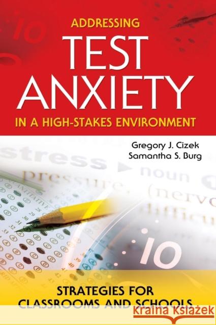 Addressing Test Anxiety in a High-Stakes Environment: Strategies for Classrooms and Schools Cizek, Gregory J. 9781412908894 Corwin Press - książka