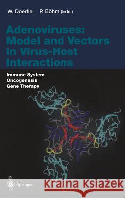 Adenoviruses: Model and Vectors in Virus-Host Interactions: Immune System, Oncogenesis, Gene Therapy Doerfler, Walter 9783540068518 Springer, Berlin - książka