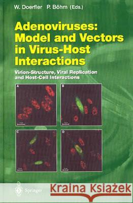 Adenoviruses: Model and Vectors in Virus-Host Interactions: Virion-Structure, Viral Replication and Host-Cell Interactions Walter Doerfler, Petra Böhm 9783540001546 Springer-Verlag Berlin and Heidelberg GmbH &  - książka