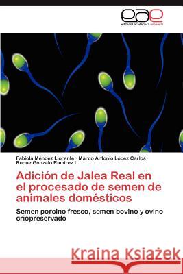 Adicion de Jalea Real En El Procesado de Semen de Animales Domesticos Fabiola M Marco Antonio L Roque Gonzalo Ra 9783848459131 Editorial Acad Mica Espa Ola - książka