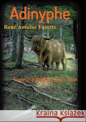 Adinyphe Rene Antoine Fayette   9783849599812 Tredition Gmbh - książka