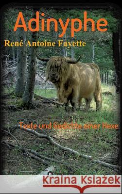 Adinyphe Rene Antoine Fayette   9783849599829 Tredition Gmbh - książka