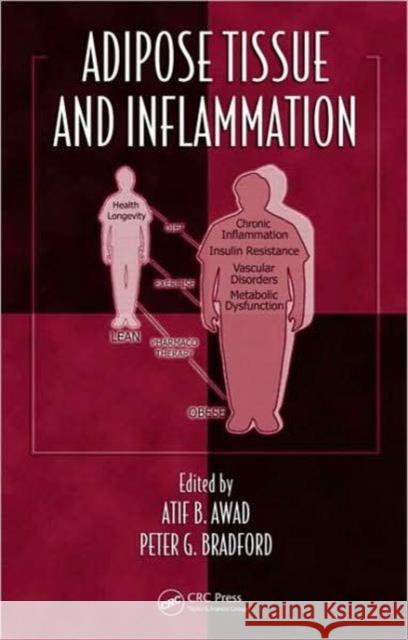 Adipose Tissue and Inflammation Atif B. Awad Peter G. Bradford  9781420091304 Taylor & Francis - książka