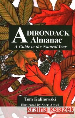 Adirondack Almanac: A Guide to the Natural Year Tom Kalinowski Sheri Amsel 9780925168672 North Country Books - książka
