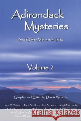 Adirondack Mysteries: And Other Mountain Tales, Volume 2 Dennis Webster   9781595310415 North Country Books - książka
