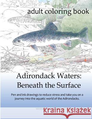 Adirondack Waters: Beneath the Surface Dave Campbell Dave Campbell 9780997439311 Dave Campbell - książka