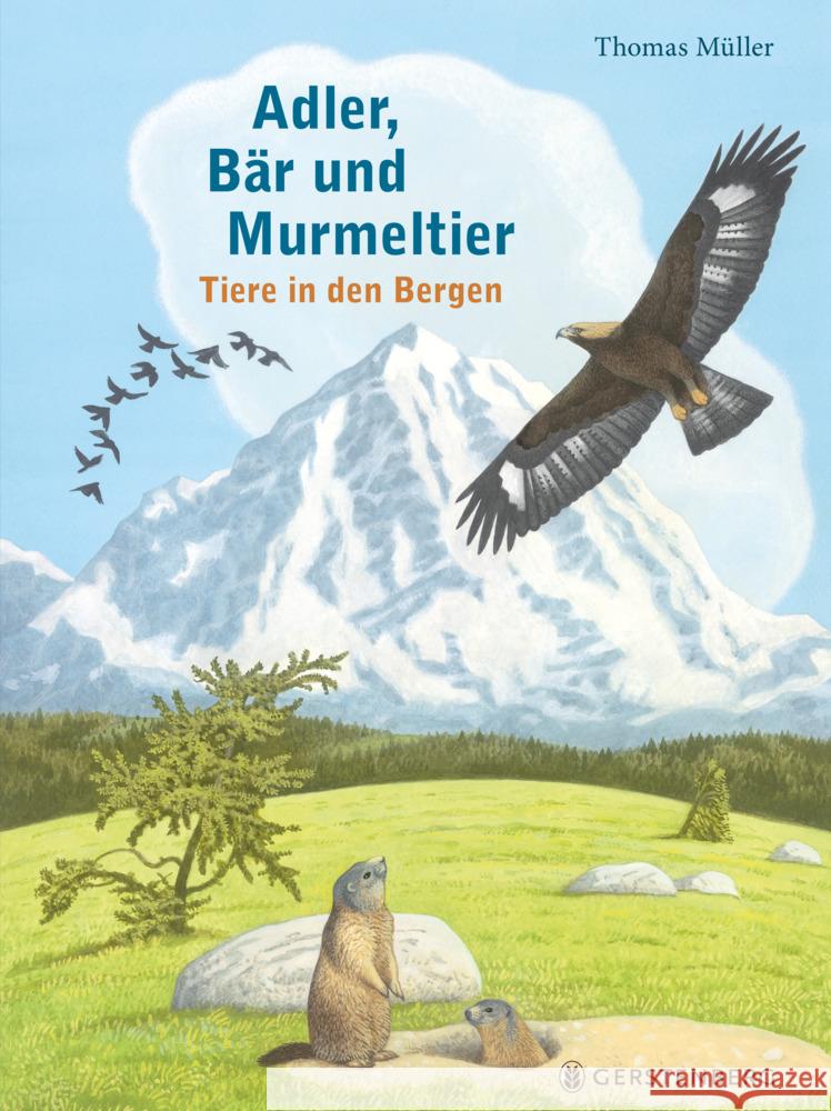 Adler, Bär und Murmeltier Müller, Thomas 9783836962773 Gerstenberg Verlag - książka