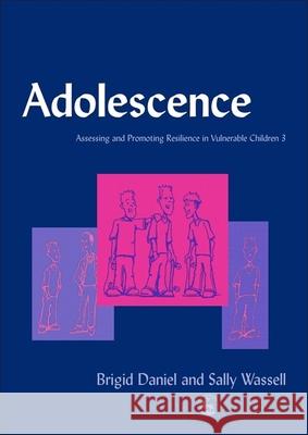 Adolescence : Assessing and Promoting Resilience in Vulnerable Children 3 Brigid P. Daniel Sally Wassell 9781843100195 Jessica Kingsley Publishers - książka