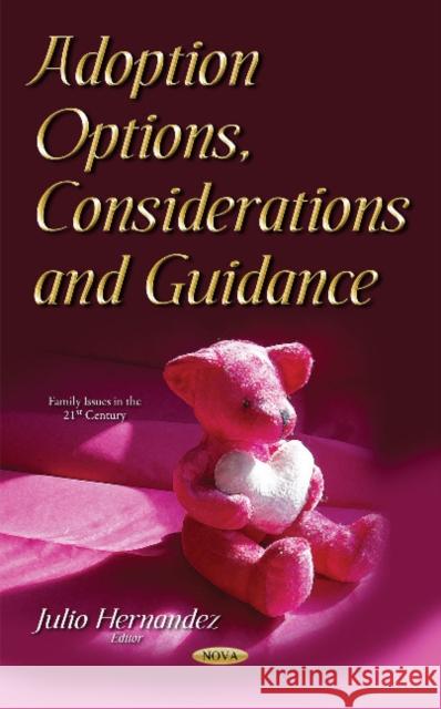 Adoption Options, Considerations & Guidance Julio Hernandez 9781634852562 Nova Science Publishers Inc - książka