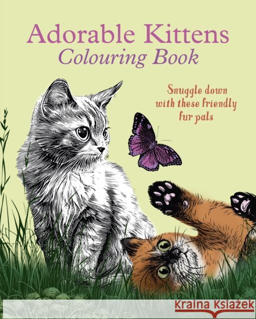 Adorable Kittens Colouring Book: Snuggle down with these friendly fur pals Tansy Willow 9781398840119 Arcturus Publishing Ltd - książka