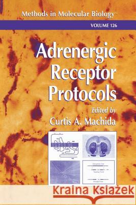 Adrenergic Receptor Protocols Curtis A. Machida 9781489941565 Humana Press - książka