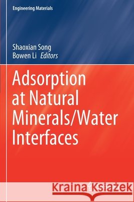 Adsorption at Natural Minerals/Water Interfaces  9783030544539 Springer International Publishing - książka