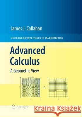 Advanced Calculus: A Geometric View Callahan, James J. 9781493940707 Springer - książka