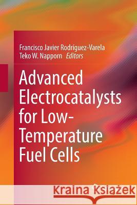 Advanced Electrocatalysts for Low-Temperature Fuel Cells Francisco Javier Rodriguez-Varela Teko W. Napporn 9783030075576 Springer - książka