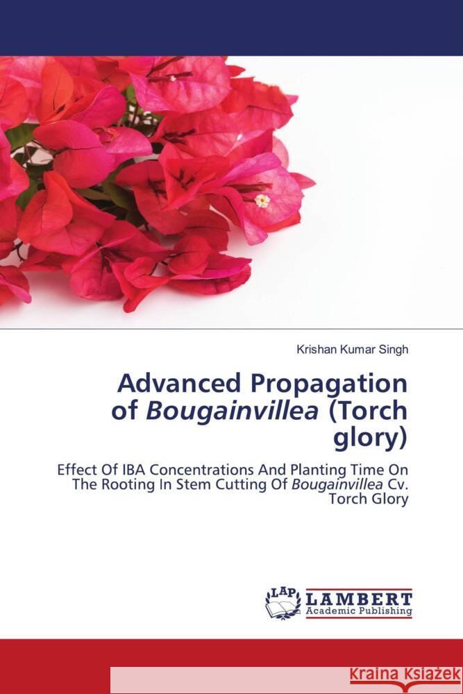 Advanced Propagation of Bougainvillea (Torch glory) Singh, Krishan Kumar 9786204739113 LAP Lambert Academic Publishing - książka