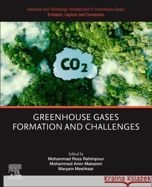 Advances and Technology Development in Greenhouse Gases: Emission, Capture and Conversion: Greenhouse Gases Formation and Challenges Mohammad Reza Rahimpour Mohammad Amin Makarem Maryam Meshksar 9780443190667 Elsevier - książka