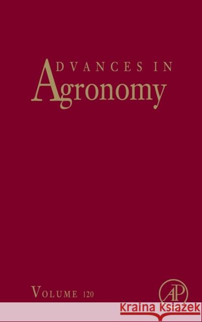 Advances in Agronomy: Volume 120 Sparks, Donald L. 9780124076860  - książka