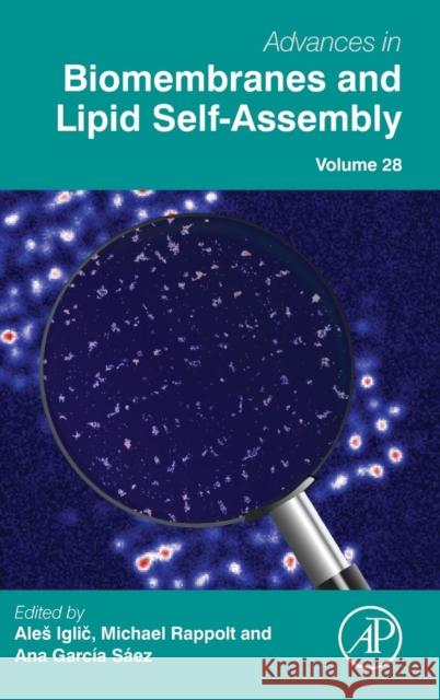 Advances in Biomembranes and Lipid Self-Assembly: Volume 28 Iglic, Ales 9780128157886 Academic Press - książka