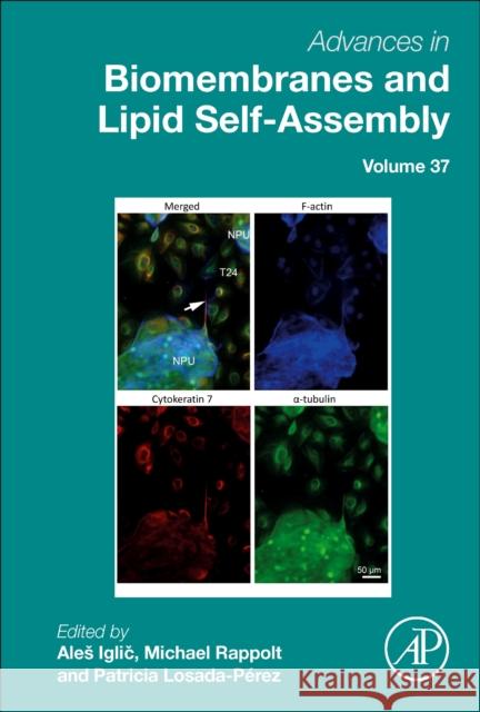 Advances in Biomembranes and Lipid Self-Assembly Ales Iglic Michael Rappolt Ana Garcia-S?ez 9780323992442 Academic Press - książka