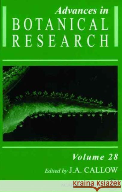 Advances in Botanical Research: Volume 28 Callow, J. A. 9780120059287 ELSEVIER SCIENCE & TECHNOLOGY - książka