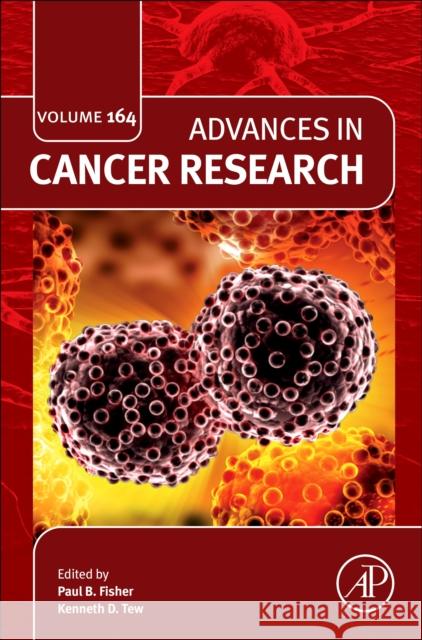 Advances in Cancer Research: Volume 164 Paul B. Fisher 9780443294426 Academic Press - książka