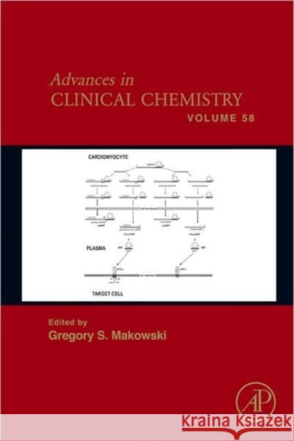 Advances in Clinical Chemistry: Volume 58 Makowski, Gregory S. 9780123943835 ACADEMIC PRESS - książka