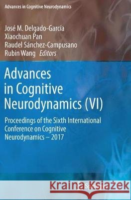 Advances in Cognitive Neurodynamics (VI): Proceedings of the Sixth International Conference on Cognitive Neurodynamics - 2017 Delgado-García, José M. 9789811342585 Springer - książka