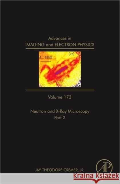 Advances in Imaging and Electron Physics: Part B Volume 173 Cremer, Ted 9780123969699 ACADEMIC PRESS - książka