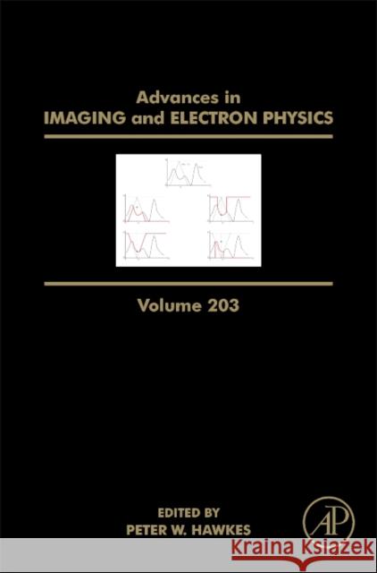 Advances in Imaging and Electron Physics: Volume 203 Hawkes, Peter W. 9780128120873 Academic Press - książka