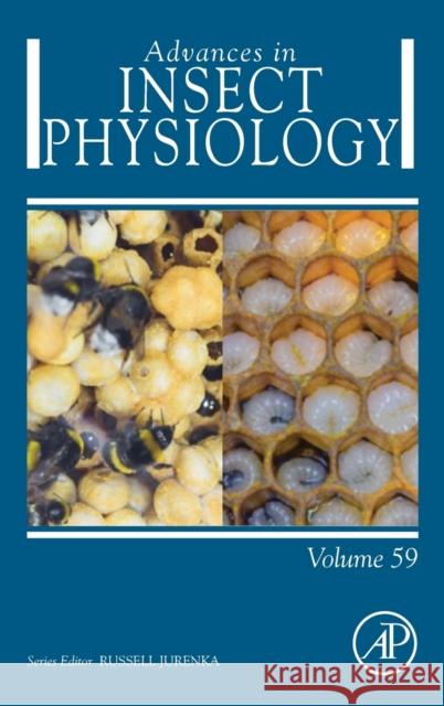 Advances in Insect Physiology: Volume 59 Jurenka, Russell 9780128203675 Academic Press - książka