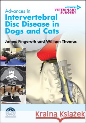 Advances in Intervertebral Disc Disease in Dogs an d Cats Fingeroth 9781118940372 John Wiley & Sons Inc - książka