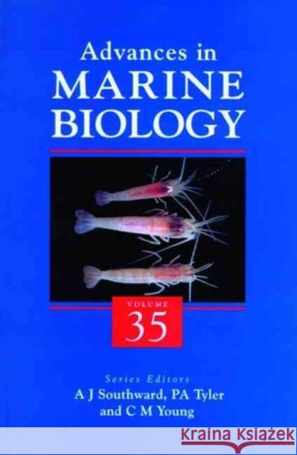 Advances in Marine Biology: Volume 35 Young, Mark 9780120261352 Academic Press - książka