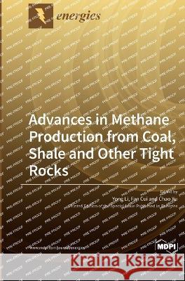 Advances in Methane Production from Coal, Shale and Other Tight Rocks Yong Li Fan Cui Chao Xu 9783036560038 Mdpi AG - książka