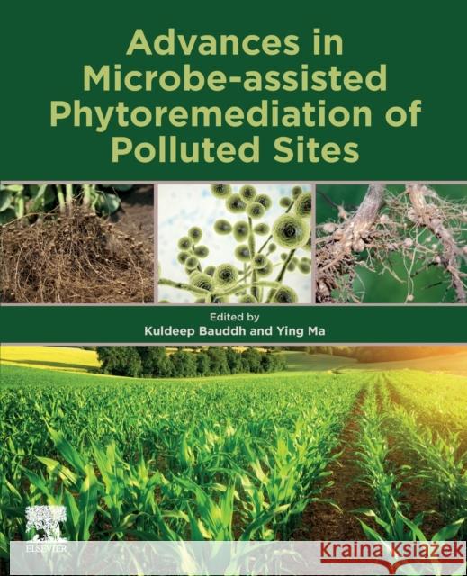 Advances in Microbe-Assisted Phytoremediation of Polluted Sites Kuldeep Bauddh Ying Ma 9780128234433 Elsevier - książka