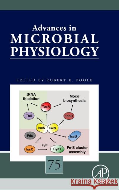 Advances in Microbial Physiology: Volume 75 Poole, Robert K. 9780128177143 Academic Press - książka
