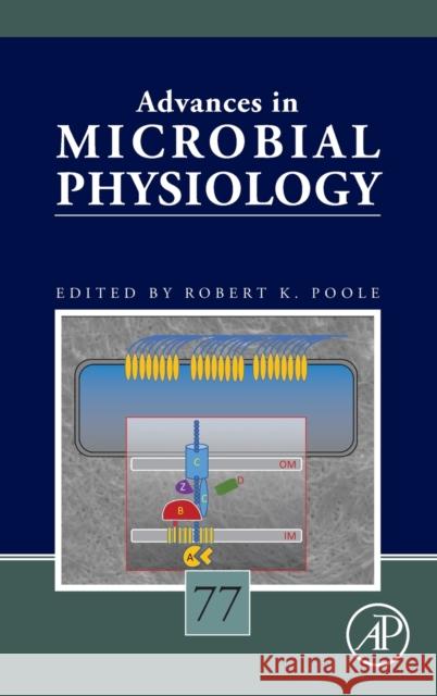Advances in Microbial Physiology Volume 77: Volume 77 Poole, Robert K. 9780128207482 Academic Press - książka