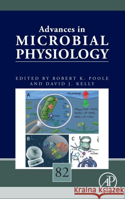 Advances in Microbial Physiology: Volume 82 Poole, Robert K. 9780443193347 Elsevier Science Publishing Co Inc - książka