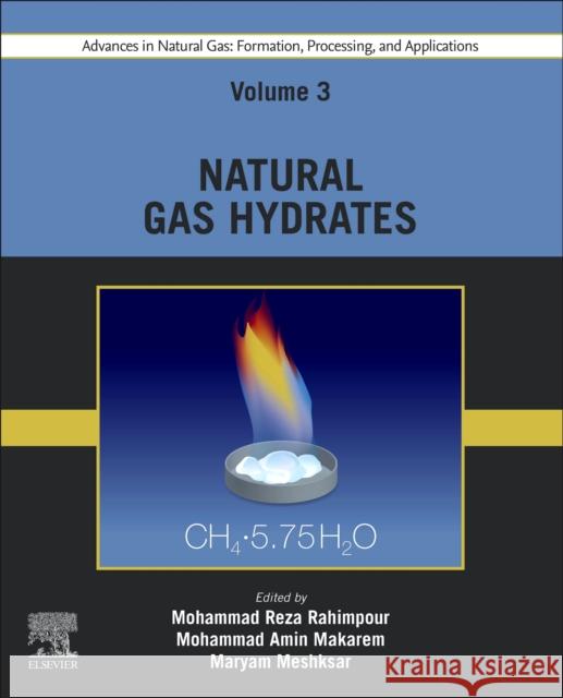 Advances in Natural Gas: Formation, Processing, and Applications. Volume 3: Natural Gas Hydrates  9780443192197 Elsevier - Health Sciences Division - książka