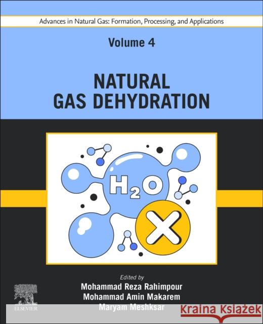 Advances in Natural Gas: Formation, Processing, and Applications. Volume 4: Natural Gas Dehydration  9780443192210 Elsevier - Health Sciences Division - książka