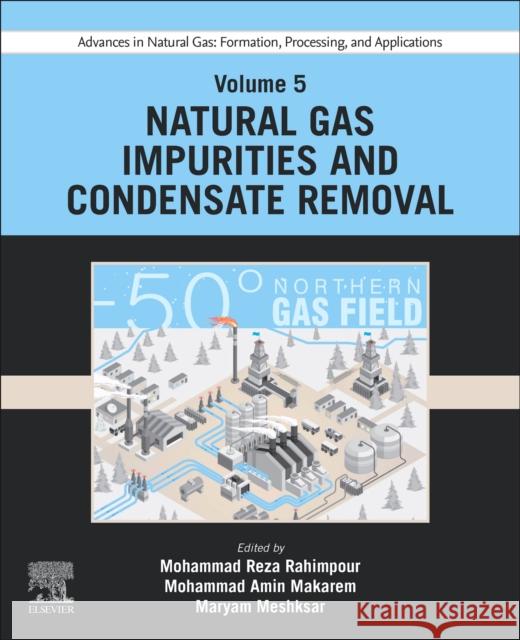 Advances in Natural Gas: Formation, Processing, and Applications. Volume 5: Natural Gas Impurities and Condensate Removal  9780443192234 Elsevier - Health Sciences Division - książka