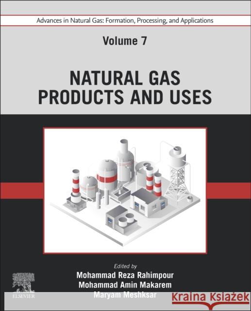 Advances in Natural Gas: Formation, Processing, and Applications. Volume 7: Natural Gas Products and Uses  9780443192272 Elsevier - Health Sciences Division - książka