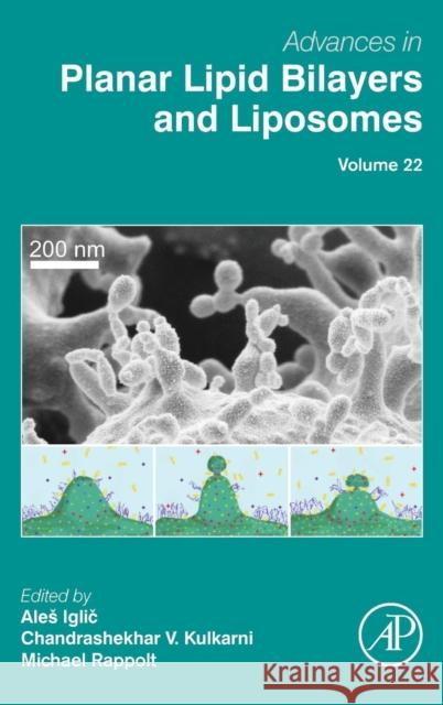 Advances in Planar Lipid Bilayers and Liposomes: Volume 22 Iglic, Ales 9780128028780 Elsevier Science - książka