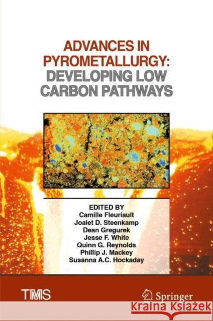 Advances in Pyrometallurgy: Developing Low Carbon Pathways Camille Fleuriault Joalet D. Steenkamp Dean Gregurek 9783031226335 Springer - książka