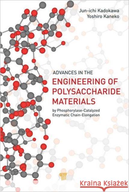 Advances in the Engineering of Polysaccharide Materials: By Phosphorylase-Catalyzed Enzymatic Chain-Elongation Kadokawa, Jun-Ichi 9789814364454 Pan Stanford Publishing - książka